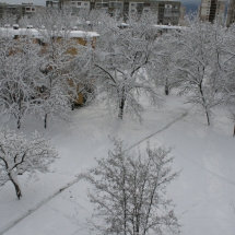 Winter in Sofia
