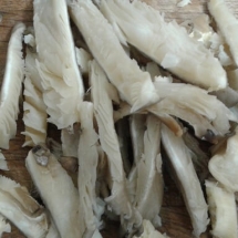 Oyster mushrooms fillet