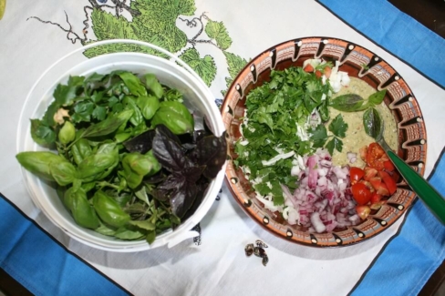 Garden herbs and fresh cabbage salad_1